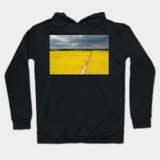 Agricultural landscape, fields of yellow colza under moody cloudy sky Hoodie